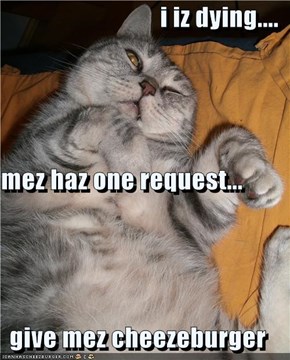 i iz dying.... mez haz one request... give mez cheezeburger