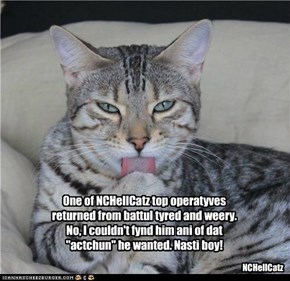One of NCHellCatz top operatyves returned from battul tyred and weery. No, I couldn't fynd him ani of dat "actchun" he wanted. Nasti boy!
