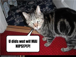 U dids wut wif MAI NIPS!?!?!