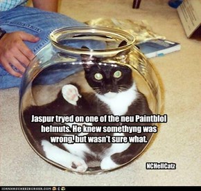 Jaspur tryed on one of the neu Paintblol helmuts. He knew somethyng was wrong, but wasn't sure what.