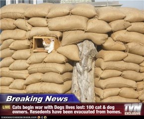 Breaking News - Cats begin war with Dogs lives lost: 100 cat & dog owners. Resedents have been evacuated from homes.