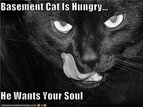 Basement Cat Is Hungry...  He Wants Your Soul