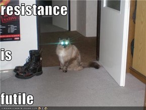 resistance is  futile