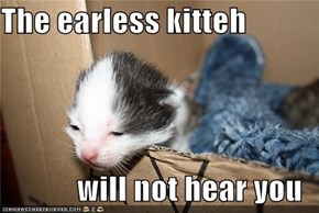 The earless kitteh  will not hear you