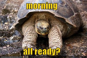 morning  all ready?