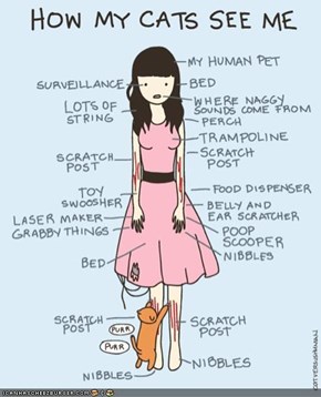 Kitteh Komic ob teh Day: How Cats See Humans