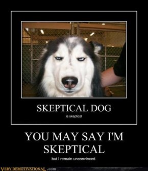 YOU MAY SAY I'M SKEPTICAL