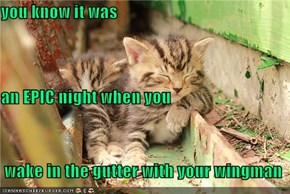you know it was an EPIC night when you  wake in the gutter with your wingman