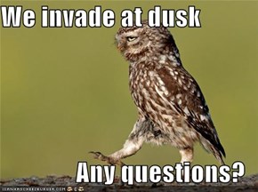 We invade at dusk  Any questions?