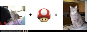 Mario Math