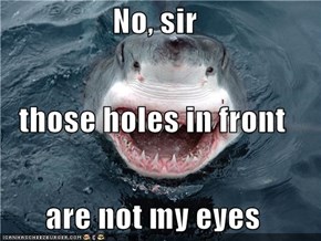 No, sir those holes in front are not my eyes