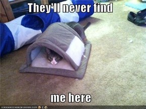 They'll never find  me here