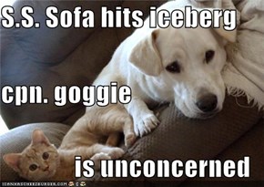 S.S. Sofa hits iceberg cpn. goggie is unconcerned