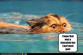 I hope that was a chocolate bar I just went past