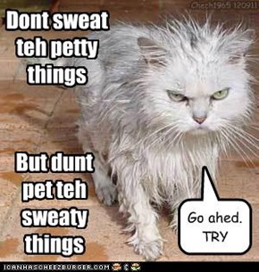 Dont sweat teh petty things