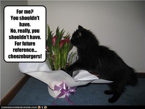 For me? You shouldn't have. No, really, you shouldn't have. For future reference... cheezeburgers!