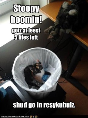 Kitteh in lann fill cawzez globul worming!