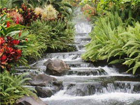Waterfall