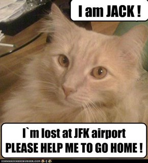 I`m lost at JFK airport PLEASE HELP ME TO GO HOME !