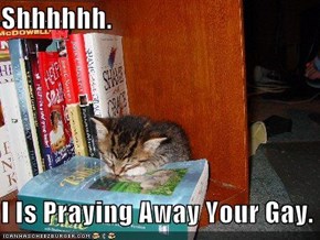 Shhhhhh.  I Is Praying Away Your Gay.