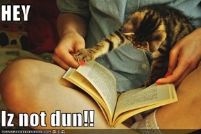 HEY  Iz not dun!!