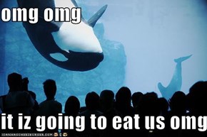 omg omg   it iz going to eat us omg