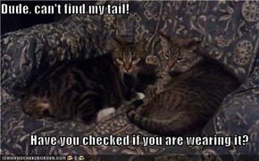 Dude, can't find my tail!  Have you checked if you are wearing it?