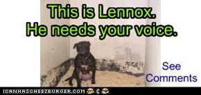 This is Lennox