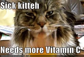Sick kitteh  Needs more Vitamin C
