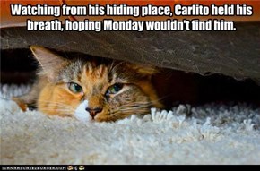 Watching from his hiding place, Carlito held his breath, hoping Monday wouldn't find him.