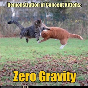 Zero Gravity