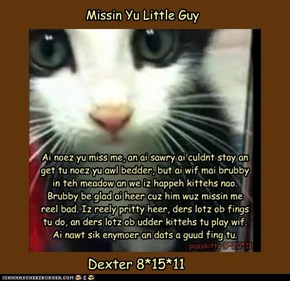 Missin yu little guy :'(