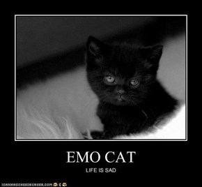EMO CAT