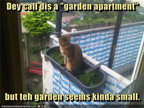 Dey call dis a "garden apartment"      but teh garden seems kinda small.