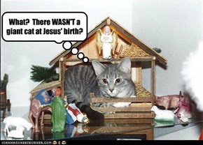 The Nativity Cat
