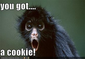 you got....  a cookie!