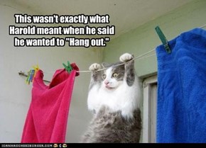 This wasn't exactly what Harold meant when he said he wanted to "Hang out."