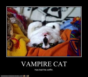 VAMPIRE CAT