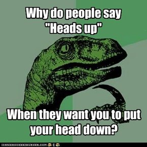 Philosoraptor: Heads Up