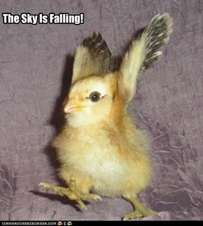 The Sky Is Falling!
