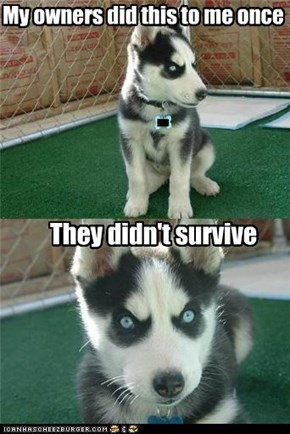 My owners did this to me once