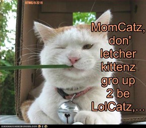 MomCatz, don' letcher kittenz gro up 2 be LolCatz,...
