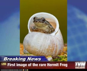 Breaking News - First image of the rare Hermit Frog