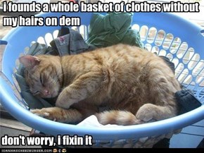 a kitteh's work is never done
