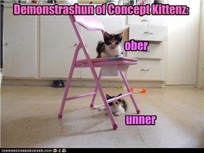 Demonstrashun of Concept Kittenz: