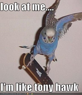 look at me....  I'm like tony hawk