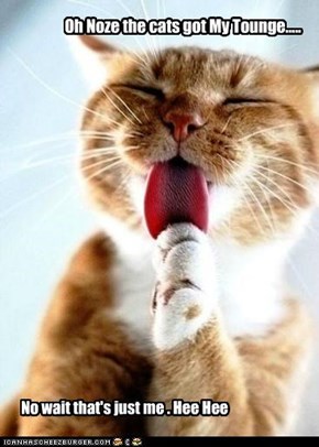 Oh Noze the cats got My Tounge.....