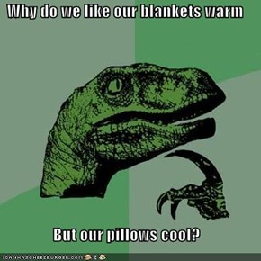 Why do we like our blankets warm  But our pillows cool?