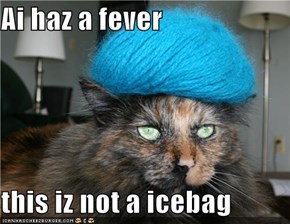 Ai haz a fever  this iz not a icebag