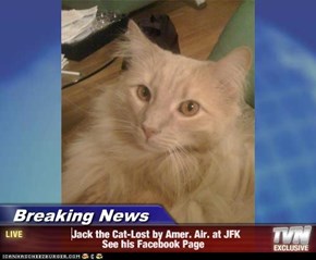 Breaking News -                 Jack the Cat-Lost by Amer. Air. at JFK                           See his Facebook Page